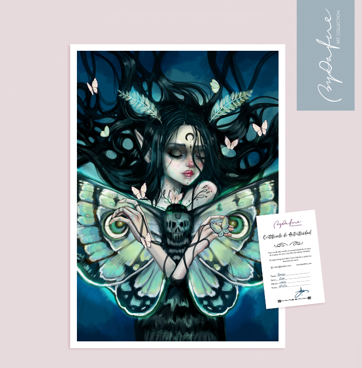 Lámina Mariposa Nocturna